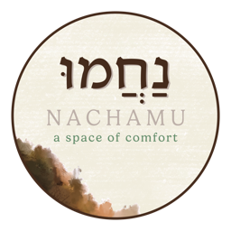 Nachamu Space logo